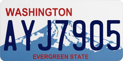WA license plate AYJ7905
