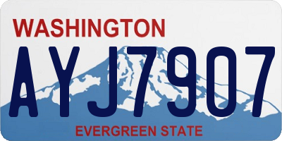 WA license plate AYJ7907