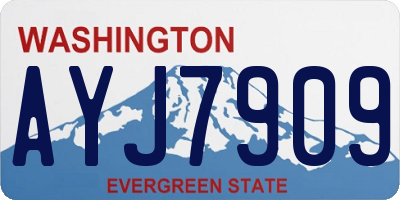 WA license plate AYJ7909