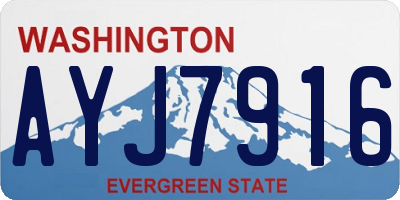 WA license plate AYJ7916
