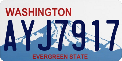 WA license plate AYJ7917