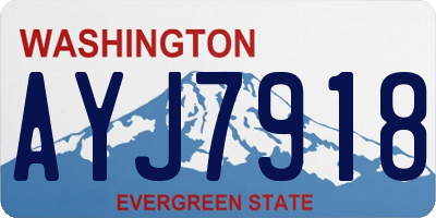 WA license plate AYJ7918