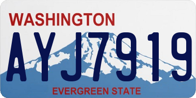 WA license plate AYJ7919