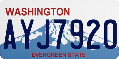 WA license plate AYJ7920