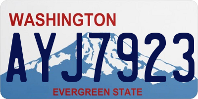 WA license plate AYJ7923