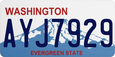 WA license plate AYJ7929