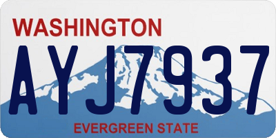 WA license plate AYJ7937