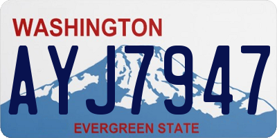 WA license plate AYJ7947