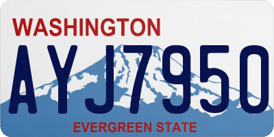WA license plate AYJ7950