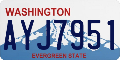 WA license plate AYJ7951