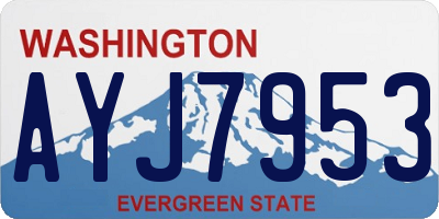 WA license plate AYJ7953