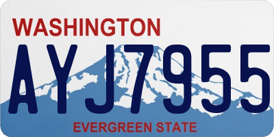 WA license plate AYJ7955