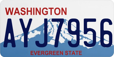 WA license plate AYJ7956