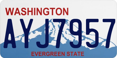WA license plate AYJ7957