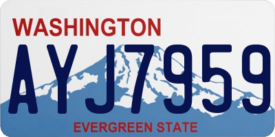 WA license plate AYJ7959