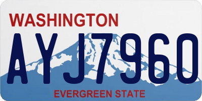 WA license plate AYJ7960