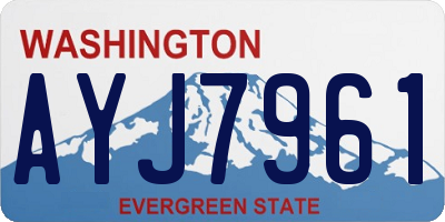 WA license plate AYJ7961