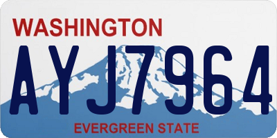 WA license plate AYJ7964
