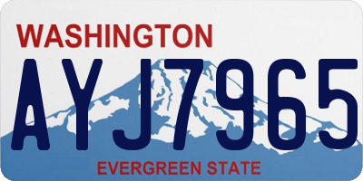 WA license plate AYJ7965