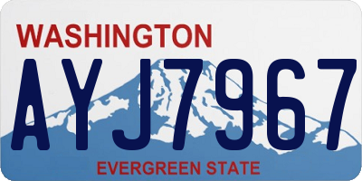 WA license plate AYJ7967