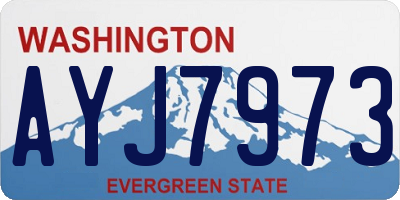 WA license plate AYJ7973