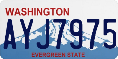 WA license plate AYJ7975