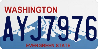 WA license plate AYJ7976