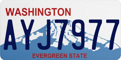 WA license plate AYJ7977