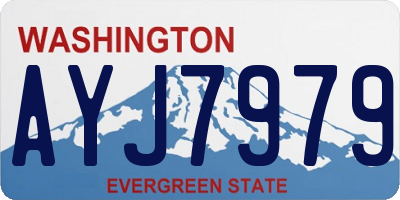 WA license plate AYJ7979