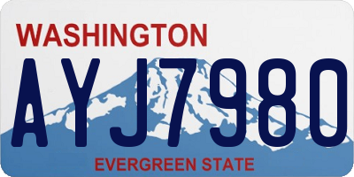 WA license plate AYJ7980