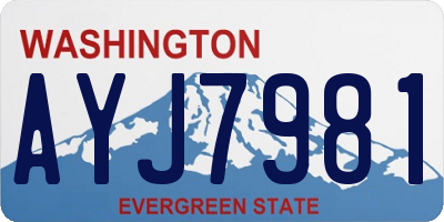 WA license plate AYJ7981