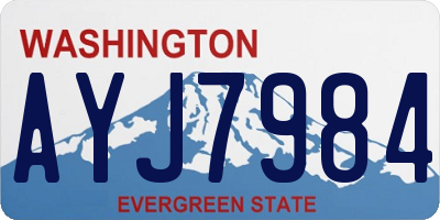 WA license plate AYJ7984