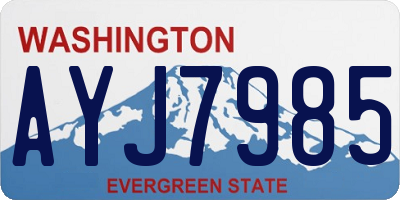 WA license plate AYJ7985