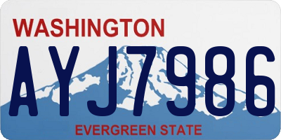 WA license plate AYJ7986
