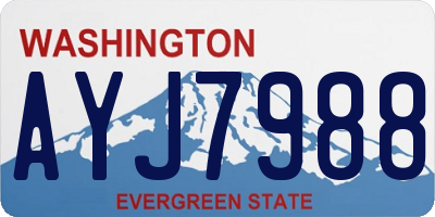 WA license plate AYJ7988