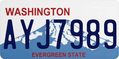WA license plate AYJ7989