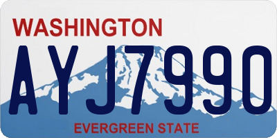 WA license plate AYJ7990