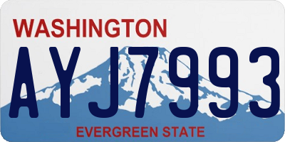 WA license plate AYJ7993