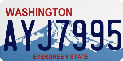 WA license plate AYJ7995