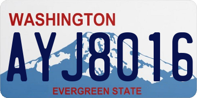 WA license plate AYJ8016