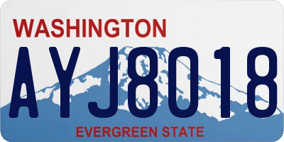 WA license plate AYJ8018