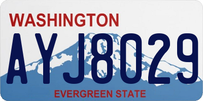 WA license plate AYJ8029