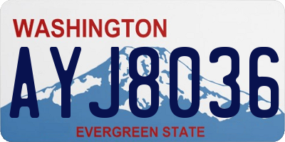 WA license plate AYJ8036