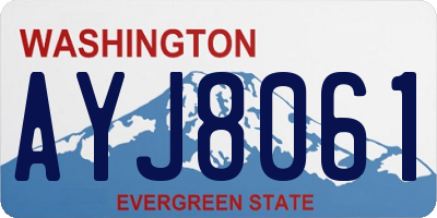 WA license plate AYJ8061