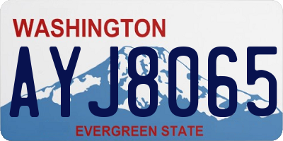 WA license plate AYJ8065