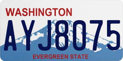 WA license plate AYJ8075