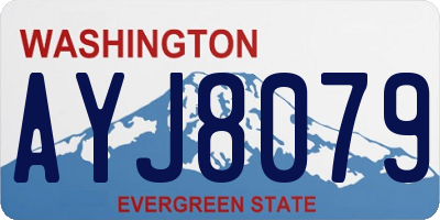 WA license plate AYJ8079