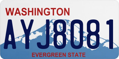 WA license plate AYJ8081