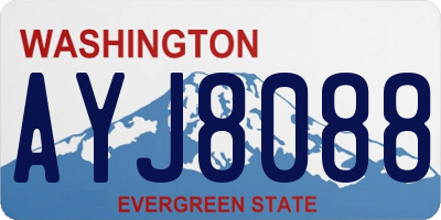 WA license plate AYJ8088