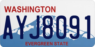 WA license plate AYJ8091